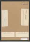 Nitzschia sigmoidea var. armoricana (Kuetz.) Grun. (de-Toni-Nr.: Genus 47, Species 2093) Zeichnungen Sammlung Grunow Nr. 4162 (NHMW-BOT-W0372051)